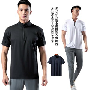 yP2{I3060~2999~ 11/11܂ŁzX|[cEFA Y |Vc   TVc WEFA WMO  tBbglX ̌^Jo[ am jp WEFA n V