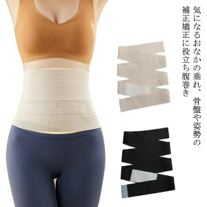 yP5{I2768~2630~ 10/27z    ͂܂ fB[X  傫 xg   T|[^[ EGXgjbp[   RZbg _CGbg p Ńx