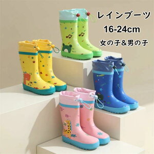 yN[|ő1000~OFF!zCu[c LbY ̎q j̎q xr[ ʊw y J  h Vv AEghA ~ _炩 ₷ ₷ ʊw o v J̓ 