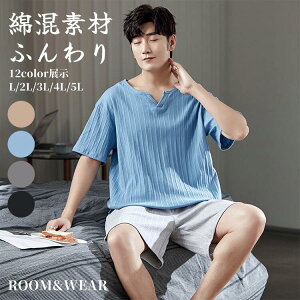 yP2{I2903~2845~ 11/11܂ŁzY pW}  [EGA  ėp Zp iCgEGA  |Pbgt QԒ Q 傫TCY jp a v ̓ hV