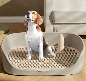 yN[|ő1000~OFF!z gCg[  gC Ch ی|ȒP bVg bVg[ gCg[ t P₷ юUh~ǃv[gt gCg