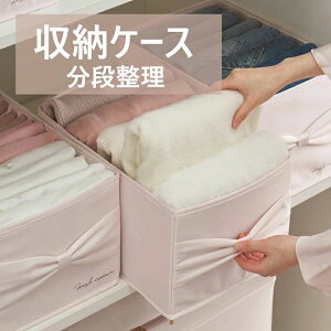 【P5倍!3719円→実質3533円 10/27迄】9段収納 メッシュ下着収納ボックス 収納ケース 仕切り 衣類収納 ブラジャー・パンツ収納 クリスマス プレゼント ギフト 引出し収納 収納便利 整理整頓 片