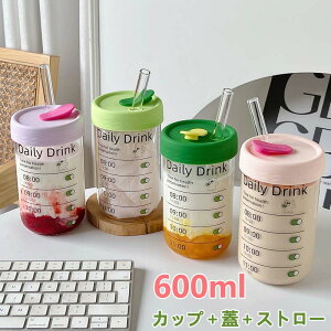  Xg[t  600ml Wt KX }OJbv }C{g KX{g KX^u[ ^ ڂȂ ʋ R[q[ Y_ X|[cΉ  킢 q 