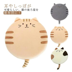 yP2{I3750~3675~ 11/11܂Łz `FApbh ᔽ zc L    ~` RpNg LNbV k Vv ֎qp \t@[p e[N  Aj}Y t