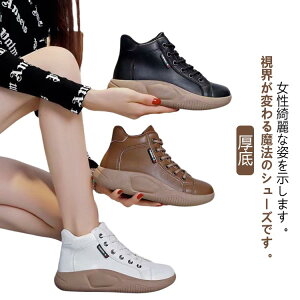 yN[|ő1000~OFF!zXb|  fB[X  V[Y  fB[XV[Y Xb| O pvX Xb| Xb| V[Y Xb| V[