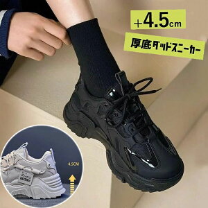 y2580~2322~ 8%COUPON+P2{!11/27 01:59܂Łz_bhXj[J[ Xj[J[ fB[X JWAV[Y EH[LOV[Y ؍ JWA gAbv r IV _CGb