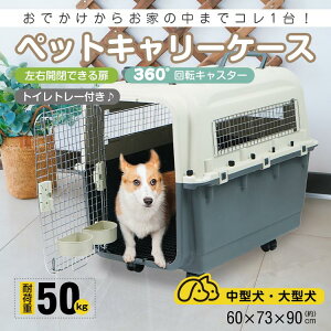 yP2{I37780~37024~ 12/11 01:59܂ŁzybgL[ ybgL[obO L[P[X EJ 360°]LX^[ Cg[t 芴  L  ʋ@  ()