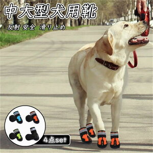 y4280~3724~ 8%COUPON+P5{!11/15 23:59܂Łz C EȂ 4Zbg C  u[c pC h h g Jpu[c JpC   S S ~ ^pC J̓ U