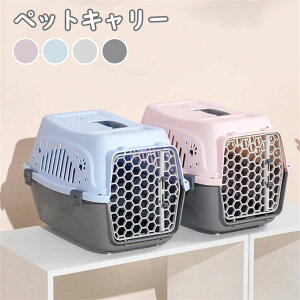 yP2{I4880~4782~ 11/11܂ŁzybgL[ oPl ^ 㕔grt N[g ړp sp y ʋC J[{bNX L[P[X