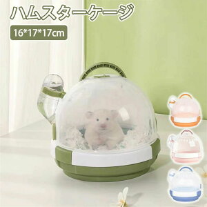 yP2{I2680~2626~ 11/11܂ŁznX^[P[W vX`bN UFO^ 킢 wbWzbO O ^ԕ֗ |N N[[nEX aP[W bg X