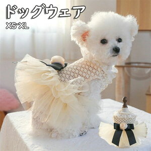 yP2{I2880~2822~ 11/11܂Łzybg  hbOEFA hX ĕ  ʋC ^ ^ 킢 ybg@@ ^ ^ ^ hbOEFA XS-XL  