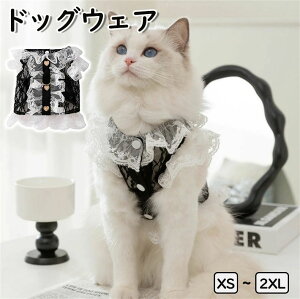 y2580~2245~ 8%COUPON+P5{!11/15 23:59܂ŁzhbOEFA s[X ėp  [X s[X m[X[u ttXJ[g s[X L~\[ ybg t ĕ H ~