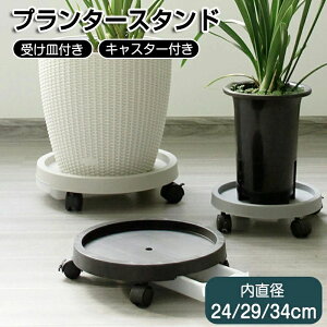 y2250~1958~ 8%COUPON+P5{!11/15 23:59܂Łzv^[X^h u  Aؔ u 󂯎Mt LX^[ ~` ԑ L[u LX^[t u 360°] Xgbp[@