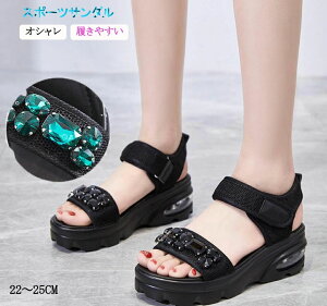 yN[|ő1000~OFF!zT_  fB[X X|[cT_  RtH[gT_ V[Y }WbNxg r ₷  Xgbv xN T_ r[