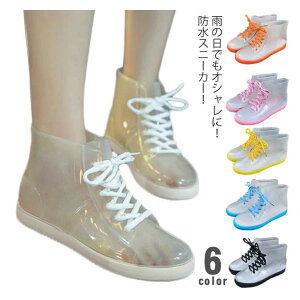 yP2{I2600~2548~ 11/11܂ŁzCXj[J[ CV[Y WjA LbY ʋ ʊw  Xj[J[ C Cu[c JC J h CXj[J[ q fB[X 