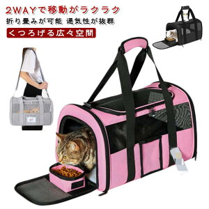 yP2{I2970~2911~ 12/11 01:59܂ŁzL[P[X ybgbN  L[ ܂ ybgL[obO LL[obO ybgL[ T[N 2WAY s ʉ@ a@ ЊQ 2WA