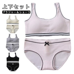 y1199~1079~ 8%COUPON+P2{!11/27 01:59܂ŁzWjAuW[ w u X|[cu w mC[u { WjA tBbglX Z K ^ g[jO ㉺