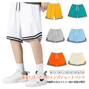 y1695~1526~ 8%COUPON+P2{!11/27 01:59܂Łzg[jO oXPpc  Y ^ Zp oXp oXPbg{[pc jO n St _X 傫TCY `[E