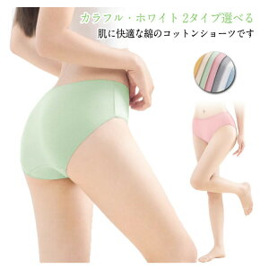 yP2{I1580~1548~ 12/11 01:59܂Łz~hEGXg gx Jt V[c 7Zbg zCg fB[X  ЊQpi  p 7Zbg s o COs ĝ 