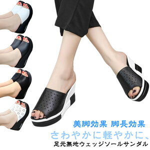 y2660~2314~ 8%COUPON+P5{!11/15 23:59܂ŁzT_ fB[X ~[ V[Y C T_ EFbW\[  傫TCY Ȃ  ItBX Xbp 