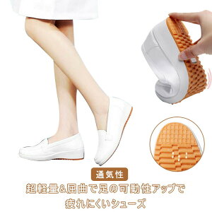 y2780~2558~ 8%OFFN[|11/30܂Łzi[XV[Y Xj[J[ fB[X  wlC Xb| ʋC Ȃ Xj[J[ ꂢ O L b C p Ōt