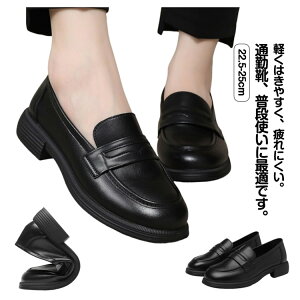 yN[|ő1000~OFF!zWjA XN[ w fB[X ɂ ʋ _炩 RC[t@[ ʊw y w   ɂȂ [t@[  傫TCY ̎q Ǝ 