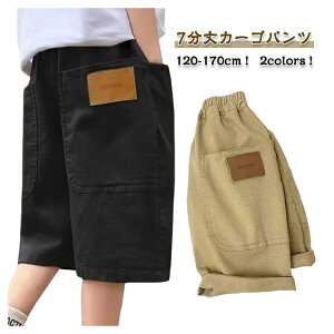 yP2{I1780~1744~ 12/11 01:59܂ŁzJ[Spc wZ J[Spc C[W[pc EGXgS J[Spc  qǂ w pc JWA 7 Y{ n[tp