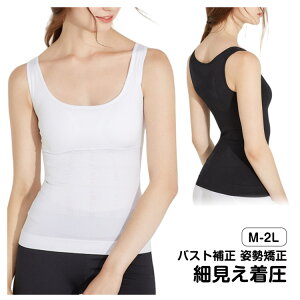 y1580~1422~ 8%COUPON+P2{!11/27 01:59܂Łzpbgt ^Ngbv Ci[ p ugbv Jbvt mC[  EGXg  _CGbg Lw ␳  