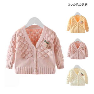 yP2{I2640~2587~ 12/11 01:59܂ŁzJ[fBK LbY t H  q JWAJ[fBK Vv JWA ł jbgJ[fB jbg   jbgZ