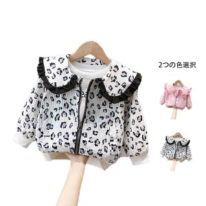 yP2{I3220~3156~ 12/11 01:59܂ŁzqEWPbg LbY tH ܋݃WPbg WPbg qE  WPbg qWPbg V[g q t  q