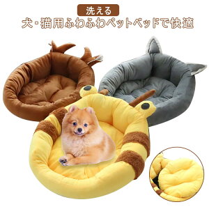 yP2{I2560~2509~ 11/11܂Łzybgxbh ybg\t@ \t@xbh  xbh pi Lpi ybgpi NbV ybg\t@ 킢  pxbhӂӂ g 