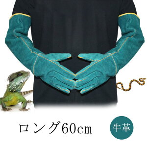 yVLOiIzd ݂ O[u ybgO[u 60cm ی ݂h~ ϖՐ  v ঒ ybg O  n K[fjO ybg SS  