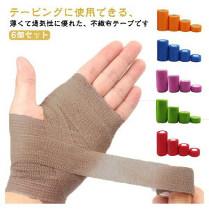 y1950~1697~ 8%COUPON+P5{!11/15 23:59܂ŁzS10FI y Lk 6Zbg S e ֗ T|[g  h~ Lk }蓖 tBbg ɂ ybg 