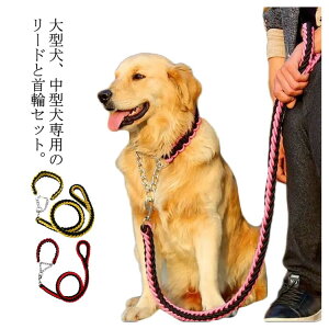 【P5倍!1990円→実質1891円 10/27迄】噛み癖 首輪 2点セット 犬 首輪セット リードセット 頑丈 犬用リード 散歩 リード しつけ ペット 極太 リード 防止 編み紐 ドッググッズ ペット用 おでかけ