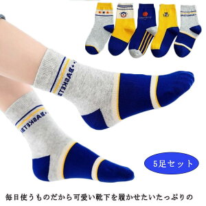 y2470~2223~ 8%COUPON+P2{!11/27 01:59܂ŁzC LbY n q \bNX j̎q ̎q ڗ wZp XN[\bNX 킢 xr[ C WjA VY w| \