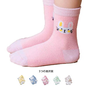 yP2{I1463~1434~ 11/11܂ŁzC LbY 5g ̎q  bV \bNX V[g Ԃ qǂ j̎q K[Y   q  킢 Zbg ۈ牀 ct 