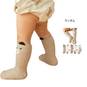 yP2{I1463~1434~ 12/11 01:59܂ŁzC LbY ̎q tH 5Zbg nC\bNX ʊw ʉ C Rbg N[\bNX Vv JWA  xr[EGA \bNX 