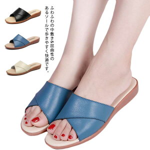 yN[|ő1000~OFF!zT_ fB[X  t  tbg 22.5 23.0 23.5 24.0 24.5 ؂ Vv Xbp  PU