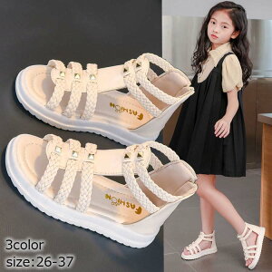 y2451~2132~ 8%COUPON+P5{!11/15 23:59܂ŁzqT_ OfBG[^[T_ qǂC t T_ sN  AC{[ LbY C LbYV[Y  tH[}C 