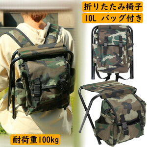 yP2{I2134~2091~ 11/11܂ŁzAEghA`FA ω׏d100kg ܂肽݈֎q Lvpi y 2in1 RpNg ܂ e bNTbN ^ oR ނ ~j`FA֎q q