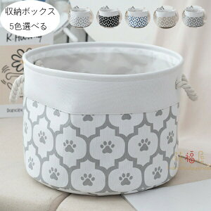 yP2{I1791~1755~ 11/11܂Łz[{bNX [oXPbg ܂肽 6FIׂ JoX N[[bg[ o t [{bNX   ߗ }K  