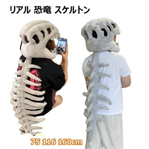 yP2{I2259~2214~ 11/11܂ŁzA  XPg RX`[ Zbg 3DXJ}XNt lp qp ̓}XN i  WvX[c nEB RXv ߑ 