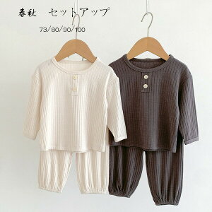 y2581~2245~ 8%COUPON+P5{!11/15 23:59܂Łzxr[ tH ZbgAbv LbY ㉺Zbg [EFA ^ ʉ ʊw t H ؍ qǂ  TVc Y{ y[W 