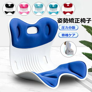 yP2{I3211~3147~ 11/11܂Łzp ֎q  ֎q ՃT|[g`FA  p NbV y ^ъȒP 120kg܂őΉ ֎q⏰ɒuč邾 LwP ɂ