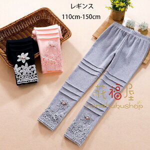 yVLOiIzq ̎q MX t H ԕ hJ LbY Y{ MX sN p[v O[ ubN   ԕ hJ MX i ʉ ʊw