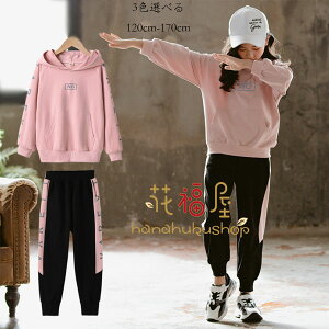 y3880~3376~ 8%COUPON+P5{!11/15 23:59܂Łz؍q W[ t H ̎q ZbgAbv LbY W[W  Y{ ^ ʊw wAw pcZbg sN y[W