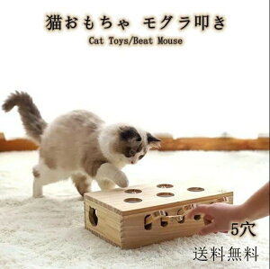 y8180~7362~ 8%COUPON+P2{!11/27 01:59܂ŁzL  L炵 ؐ O@ lR ŗVԍDS 炽 ^s XgX ˂̂ }EX lY