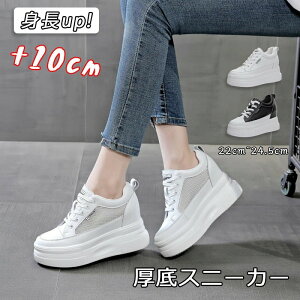 y5280~4752~ 8%COUPON+P2{!11/27 01:59܂Łz Xj[J[ 10cm y ėp gAbv C   fB[X C V[Y EH[LO _bhXj[J[ tďH~ ʋC w