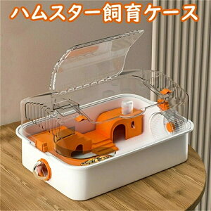 yP2{!11/11܂ŁzP[W nX^[P[W nX^[P[X ώ@₷ p[c ې zC[ GTM pCv  VF^[ {E [ gl DIYg