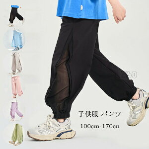 yP2{I2313~2267~ 12/11 01:59܂Łz؍q Y{ pc ̎q j̎q sN p[v O[ ăpc ^ ĕ Ē {gX Y{ Opc LbY n pc 